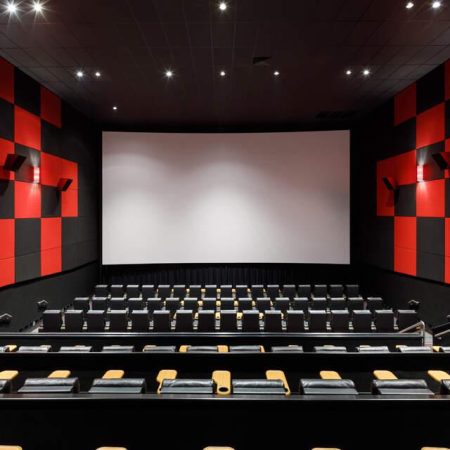 Cinema & Audiovisual Entertainment Acoustics