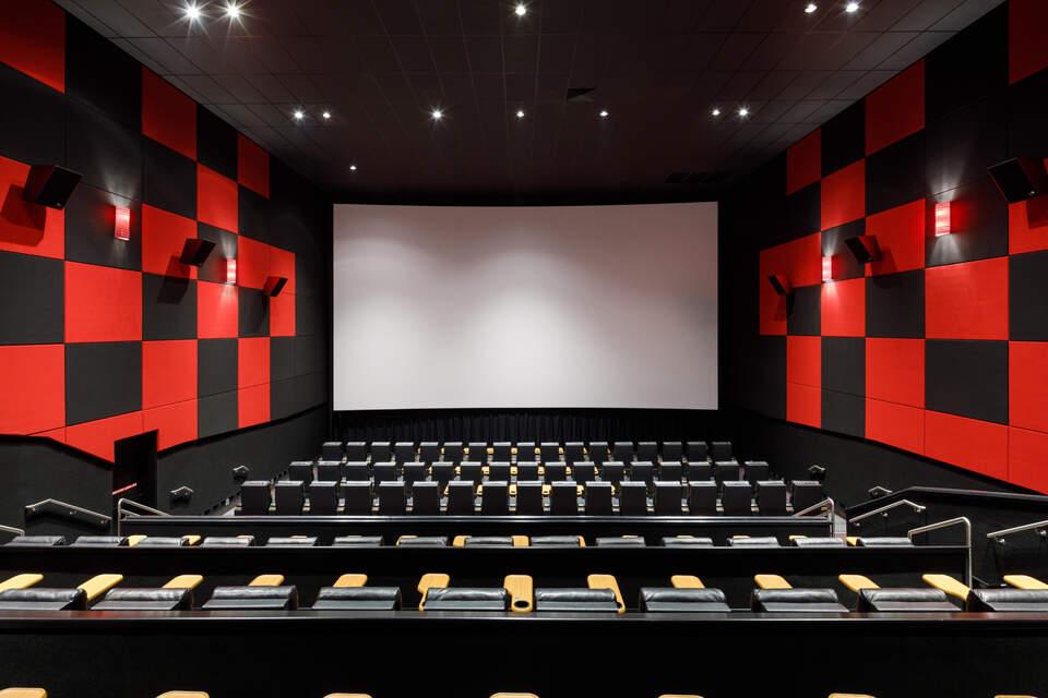 Cinema & Audiovisual Entertainment Acoustics